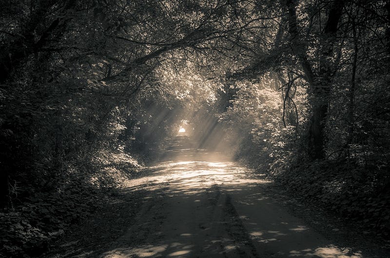 Rays of light hitting a dark path through the forest, with the end in sight